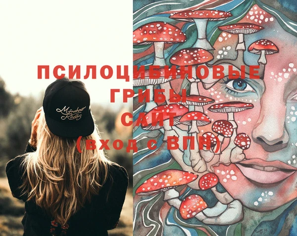 PSILOCYBIN Верея