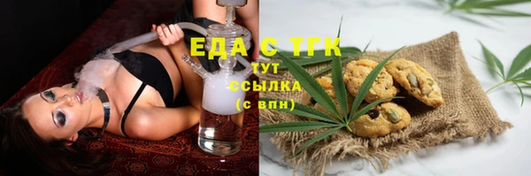 индика Бронницы