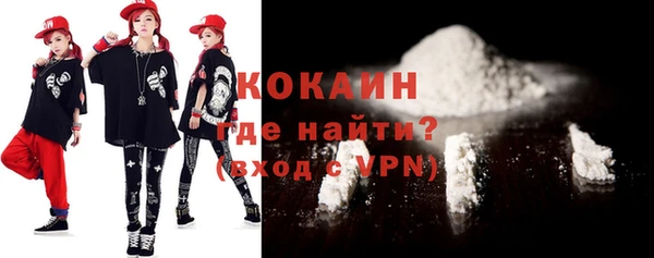 индика Бронницы