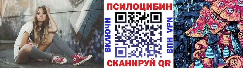 кракен ссылки  Елизово  Псилоцибиновые грибы ЛСД 