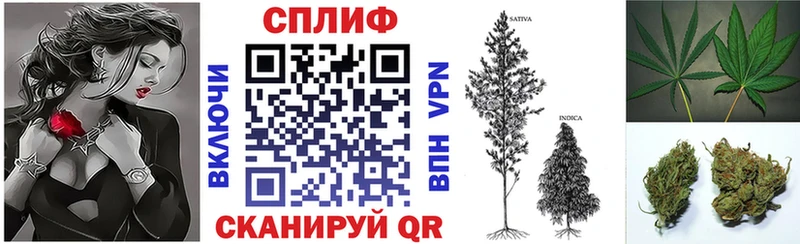 Марихуана ГИДРОПОН  darknet официальный сайт  Елизово 